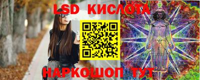 прущие грибы Северобайкальск