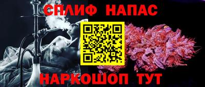 прущие грибы Северобайкальск