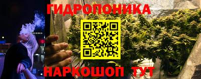 прущие грибы Северобайкальск