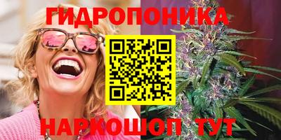 прущие грибы Северобайкальск