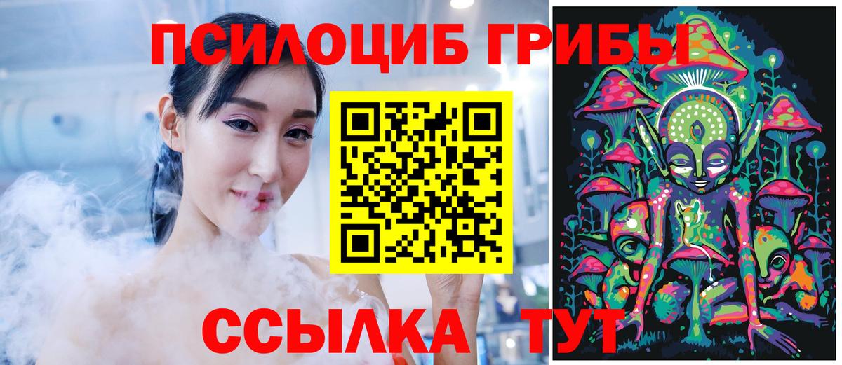 Светлоград  Галлюциногенные грибы Psilocybe  Псилоцибиновые грибы прущие грибы  Вход с VPN 